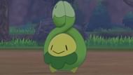 Budew in Sword and Shield. (Image via Game Freak)